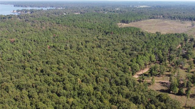 TBD Fm 2457, Livingston, TX 77351