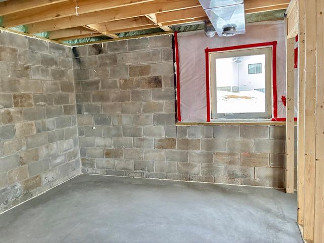 911 3rd Street, Wanamingo, MN 55983