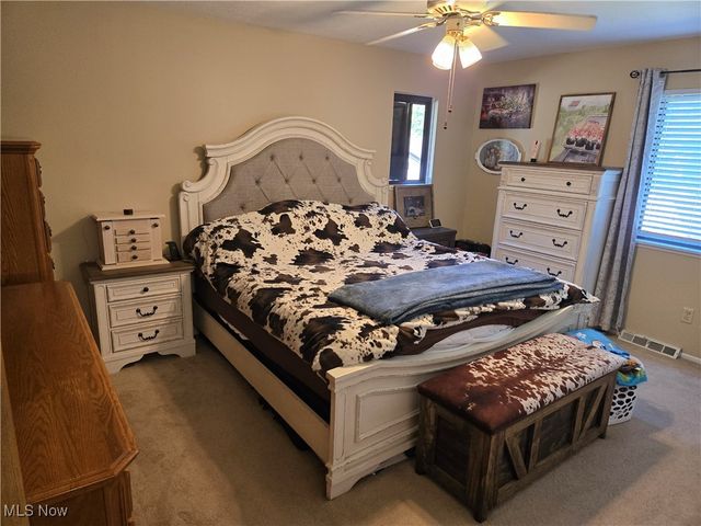 9205 Pekin Court, Mentor, OH 44060