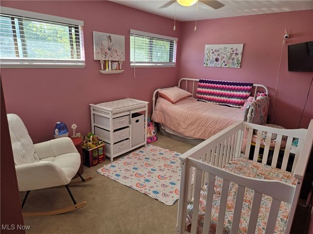 9205 Pekin Court, Mentor, OH 44060