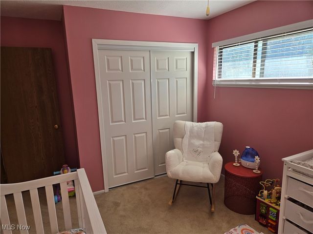 9205 Pekin Court, Mentor, OH 44060