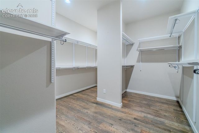 1061 Native Dancer Terrace, Colorado Springs, CO 80921