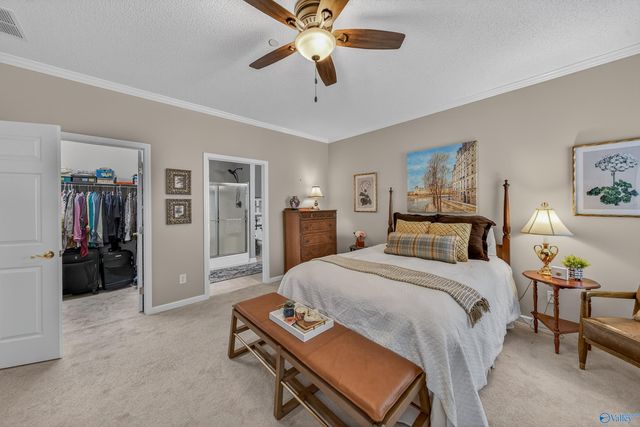 203 Madison Villas Way, Madison, AL 35758