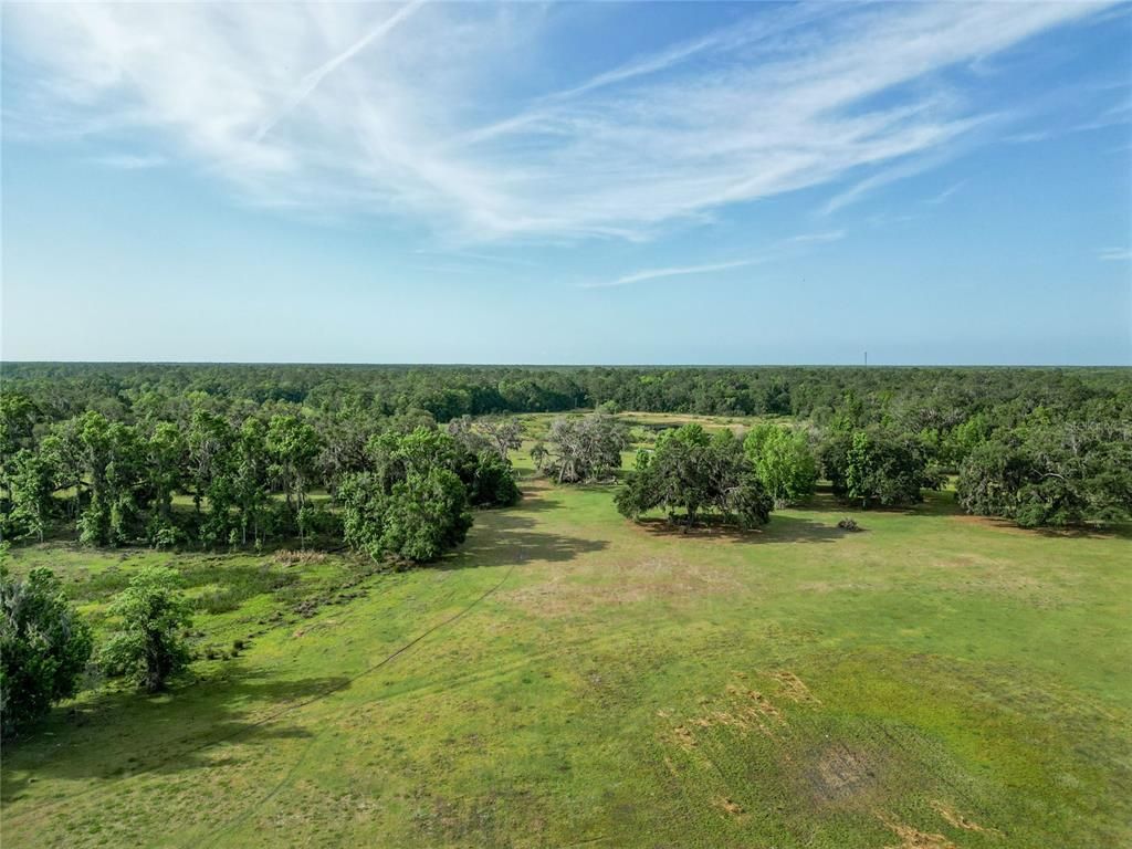 TBD CR 772B, Webster, FL 33597