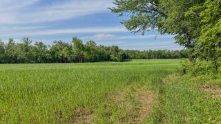 0 Sturgeon Creek Road, Cedar Hill, TN 37032