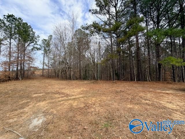 2132 County Road 54, Guin, AL 35563
