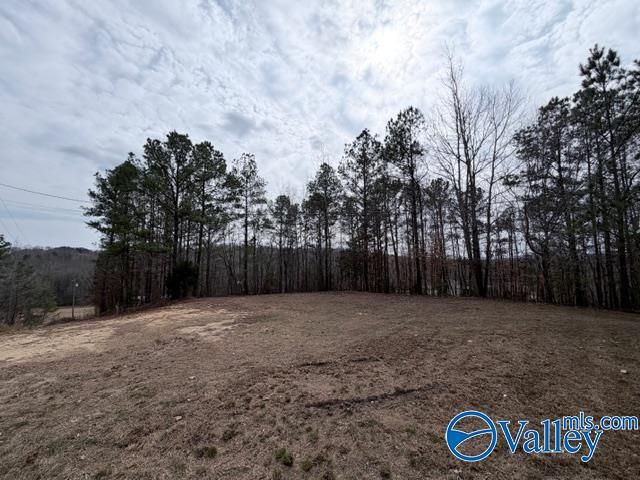 2132 County Road 54, Guin, AL 35563