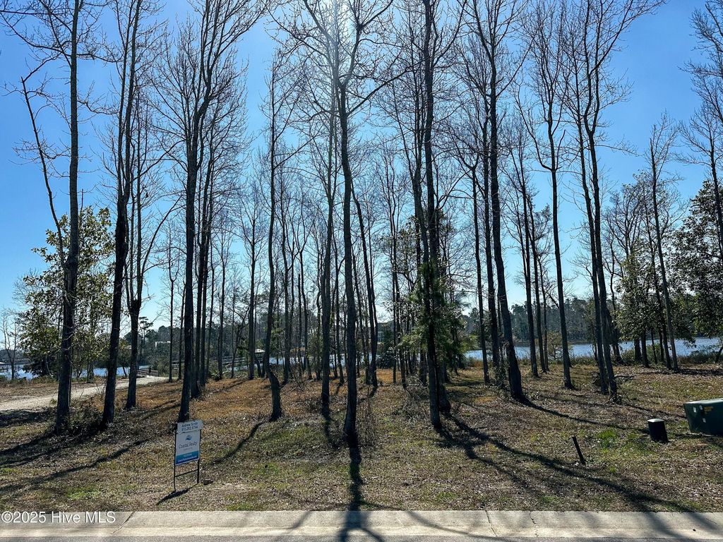 45 Crown Pointe Drive, Hampstead, NC 28443