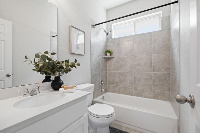 3113 Hidalgo LOOP, Round Rock, TX 78665