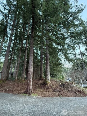 44726 SE 146th ST Street, North Bend, WA 98045