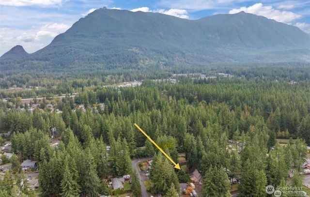 44726 SE 146th ST Street, North Bend, WA 98045