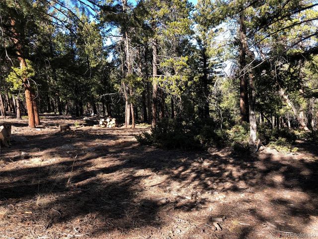 Aspen Turn, Buena Vista, CO 81211