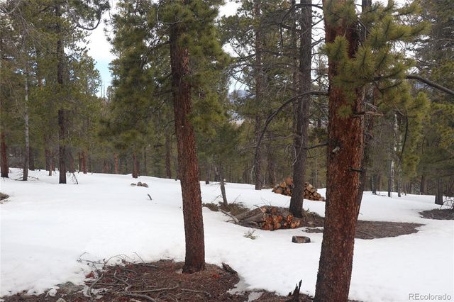Aspen Turn, Buena Vista, CO 81211