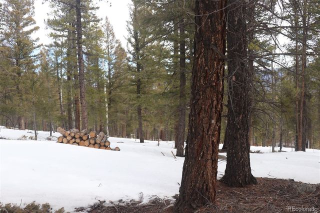 Aspen Turn, Buena Vista, CO 81211