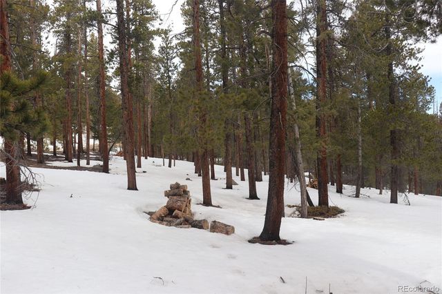 Aspen Turn, Buena Vista, CO 81211
