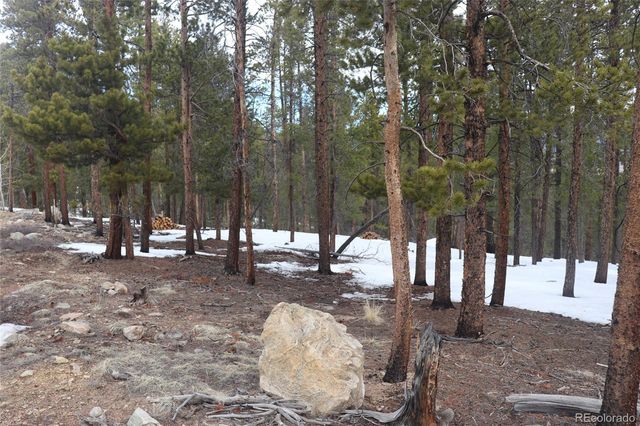 Aspen Turn, Buena Vista, CO 81211