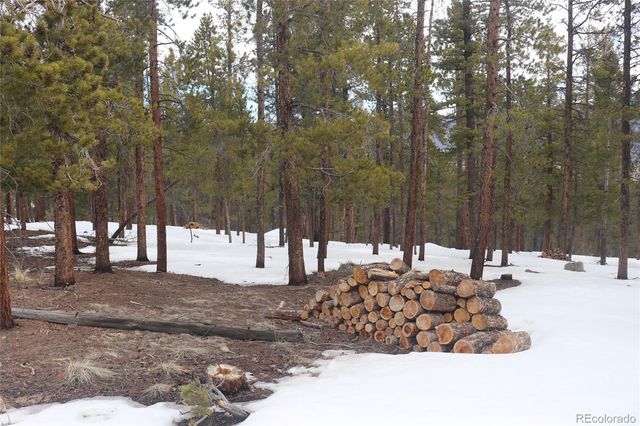 Aspen Turn, Buena Vista, CO 81211
