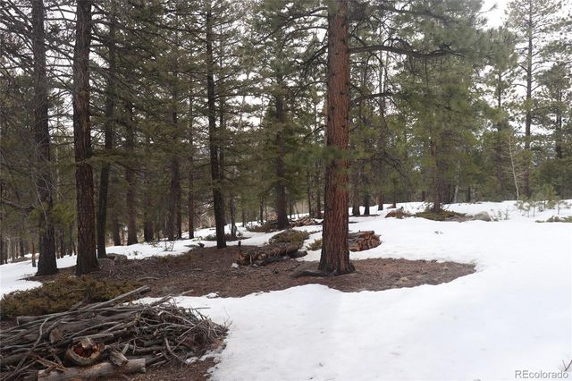 Aspen Turn, Buena Vista, CO 81211