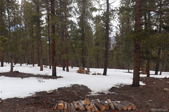 Aspen Turn, Buena Vista, CO 81211