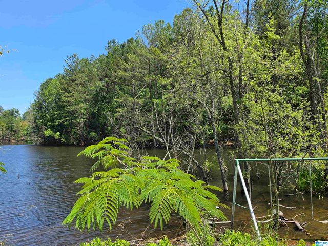 0 MOORE ROAD, Springville, AL 35146