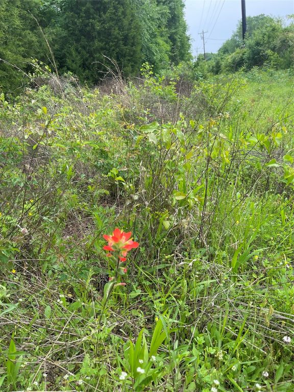 TBD VZ County Road 2908, Eustace, TX 75124