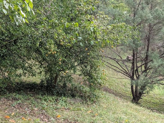 1551 Springfield Hwy, Goodlettsville, TN 37072