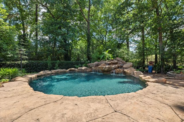 17 Buttonbush Court, The Woodlands, TX 77380