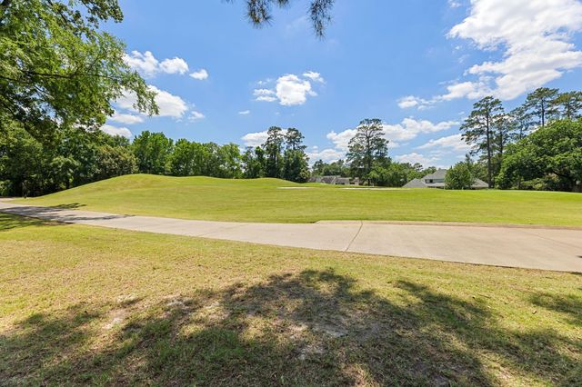 17 Buttonbush Court, The Woodlands, TX 77380