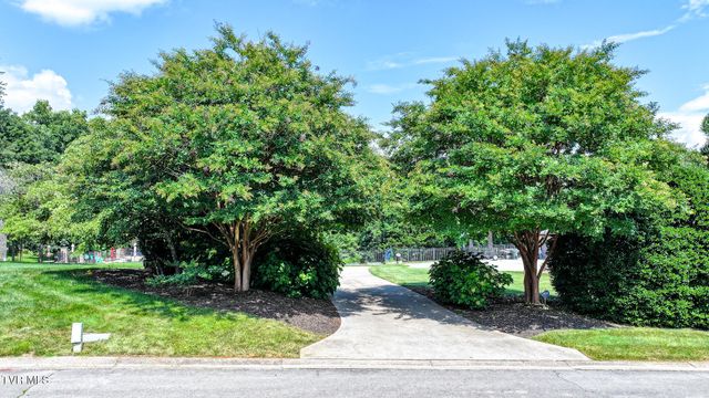 110 Pine Straw Ridge, Greeneville, TN 37745