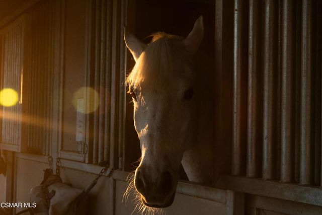 1451 E La Loma Avenue, Somis, CA 93066