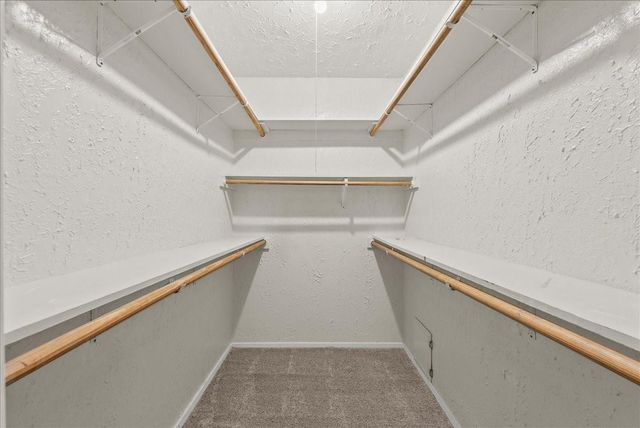 430 W Redway Lane W, Houston, TX 77598