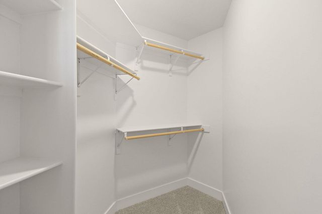 208 WILLIAM SMITH PL, Columbia, MO 65203