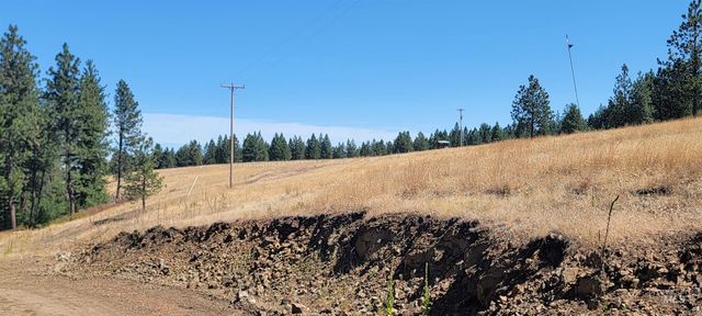 546 Edgehill Dr, Anatone, WA 99401