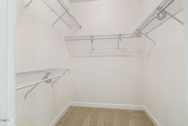 255 Bally Shannon Way, Apex, NC 27539