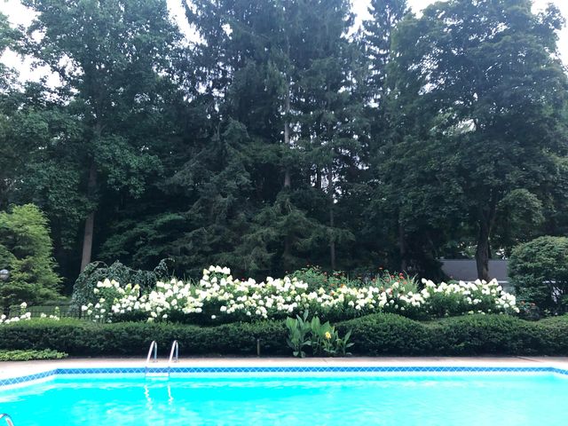 2526 Lakeshore Drive, Saugatuck Twp, MI 49408