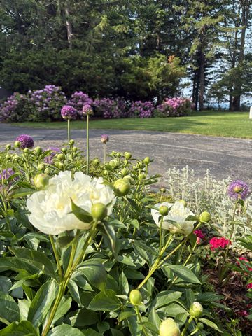 2526 Lakeshore Drive, Saugatuck Twp, MI 49408