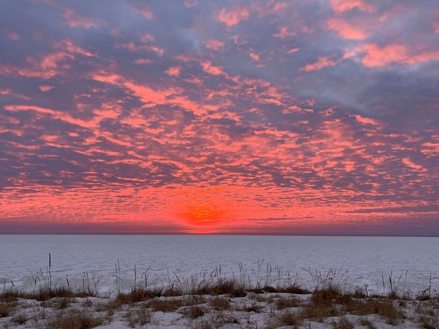 2526 Lakeshore Drive, Saugatuck Twp, MI 49408