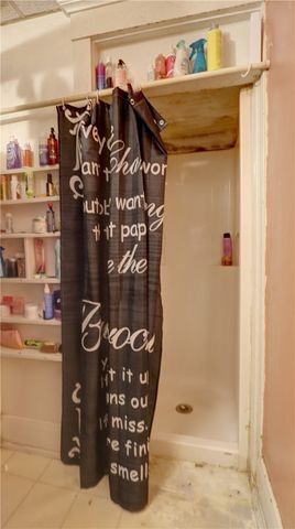 53 Lewis Street, Geneva City, NY 14456