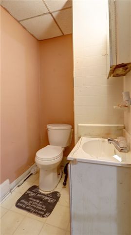 53 Lewis Street, Geneva City, NY 14456