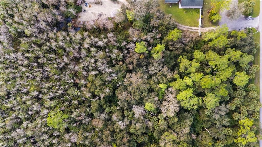 4870 30th AVE SE, NAPLES, FL 34117 — photo 4