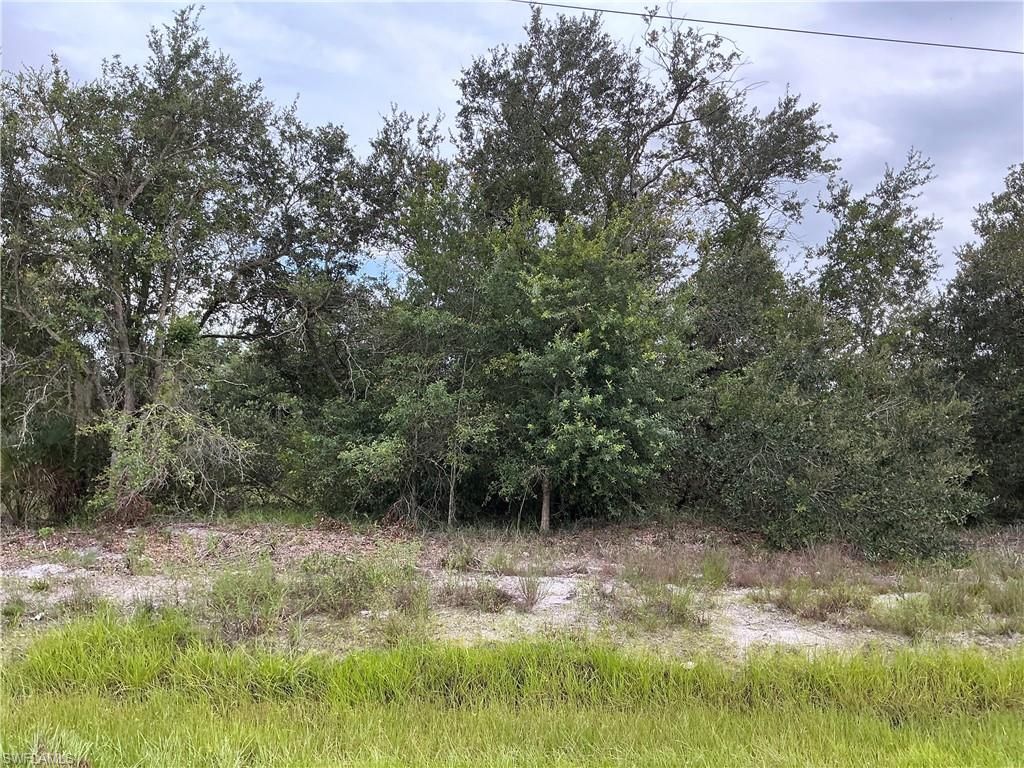 3102 51st ST W, Lehigh Acres, FL 33971
