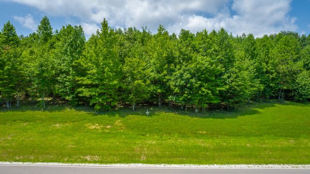 0 River Bluffs Drive Rb140-A, Jasper, TN 37347