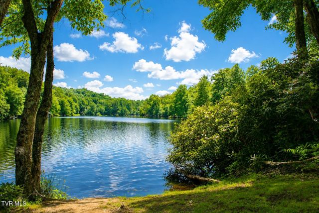 282 Ripshin Lake Road, Roan Mountain, TN 37687