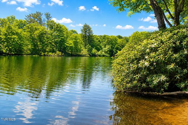 282 Ripshin Lake Road, Roan Mountain, TN 37687