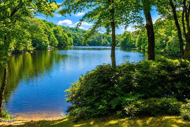 282 Ripshin Lake Road, Roan Mountain, TN 37687
