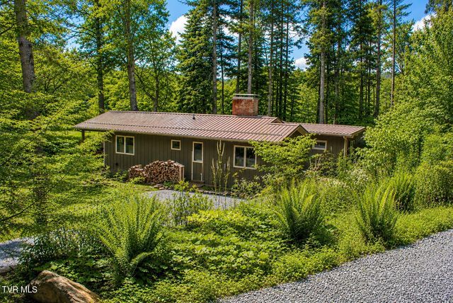 282 Ripshin Lake Road, Roan Mountain, TN 37687