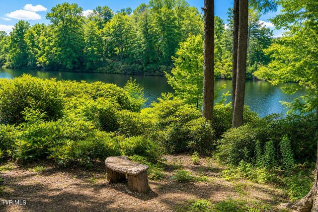 282 Ripshin Lake Road, Roan Mountain, TN 37687