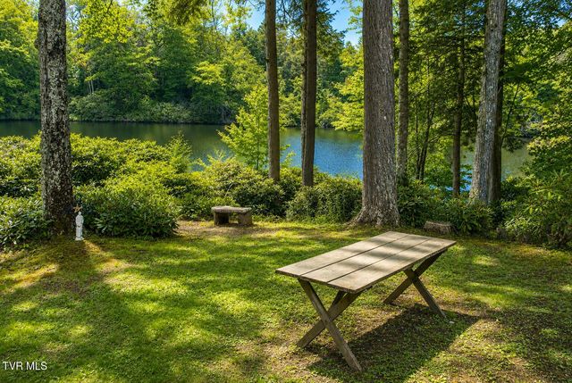 282 Ripshin Lake Road, Roan Mountain, TN 37687