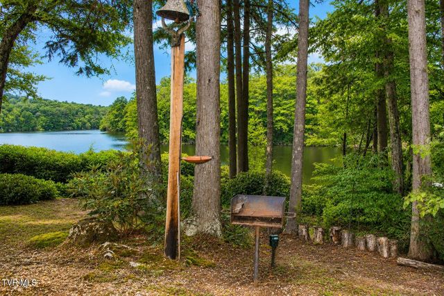 282 Ripshin Lake Road, Roan Mountain, TN 37687