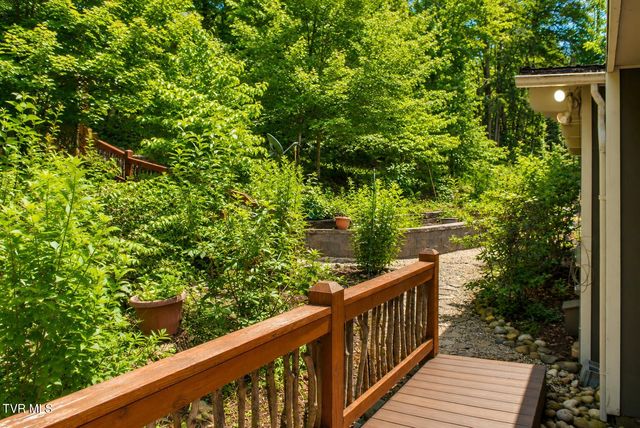 282 Ripshin Lake Road, Roan Mountain, TN 37687